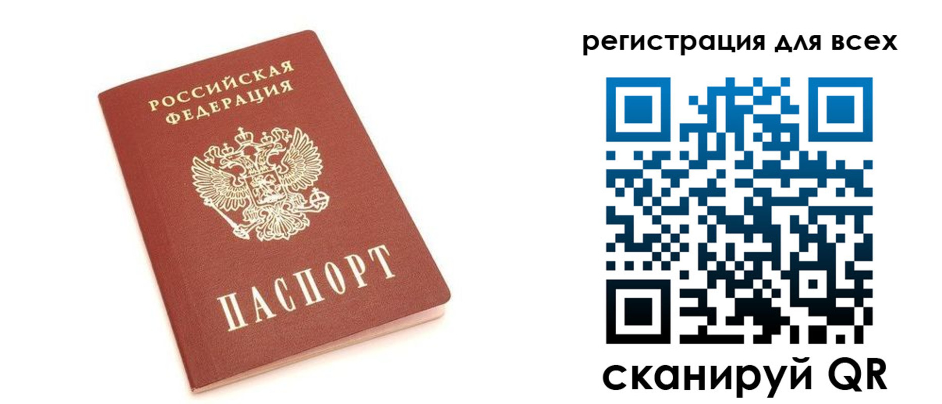 прописка в Кольчугино